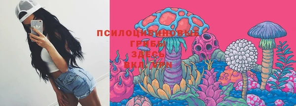 трава Аркадак
