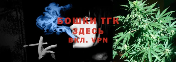 трава Аркадак