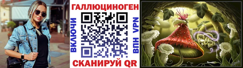 магазин продажи наркотиков  блэк спрут ТОР  Галлюциногенные грибы MAGIC MUSHROOMS  Рыбное 